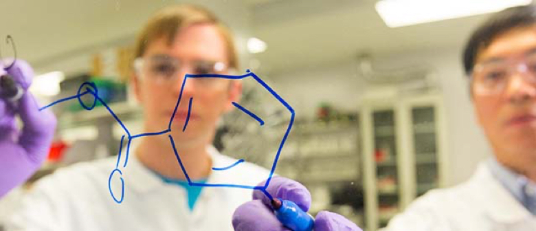 Scientists drawing molecules on a white board